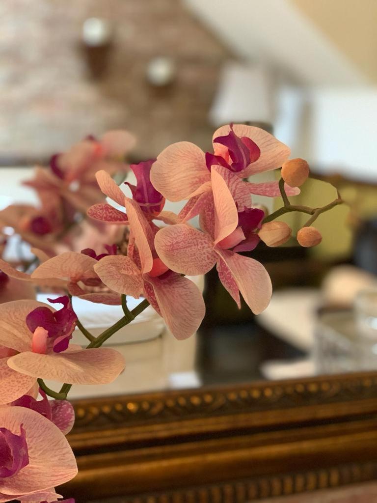 Hostal Villa Toscana Γουατεμάλα Εξωτερικό φωτογραφία